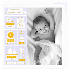 'Little Things' Birth Announcement